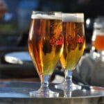 Uprawa chmielu w domu – czy to możliwe?