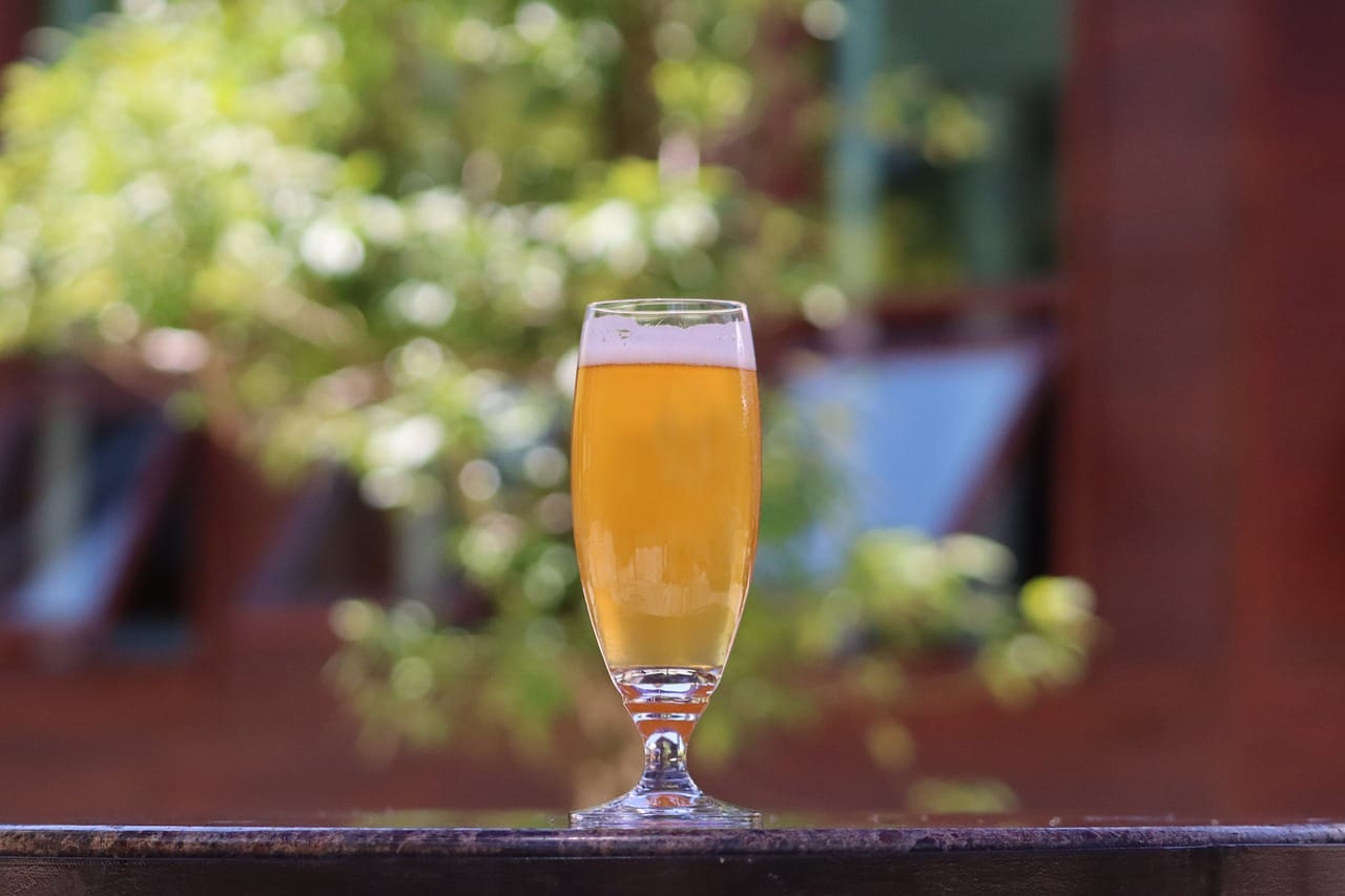 Piwo a ryzyko chorób serca – badania naukowe